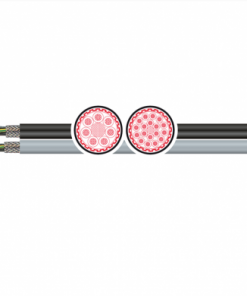 2-NORM-CY +UV 1.000V