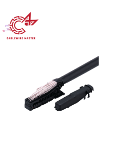EC2086 IFM Vietnam