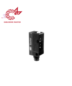 10131281 – Baumer Vietnam