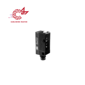 10131281 – Baumer Vietnam